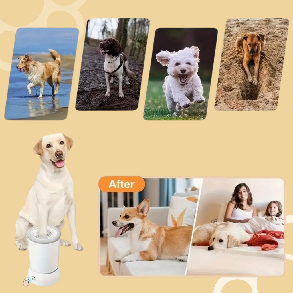 Electric Pet Paw Washer