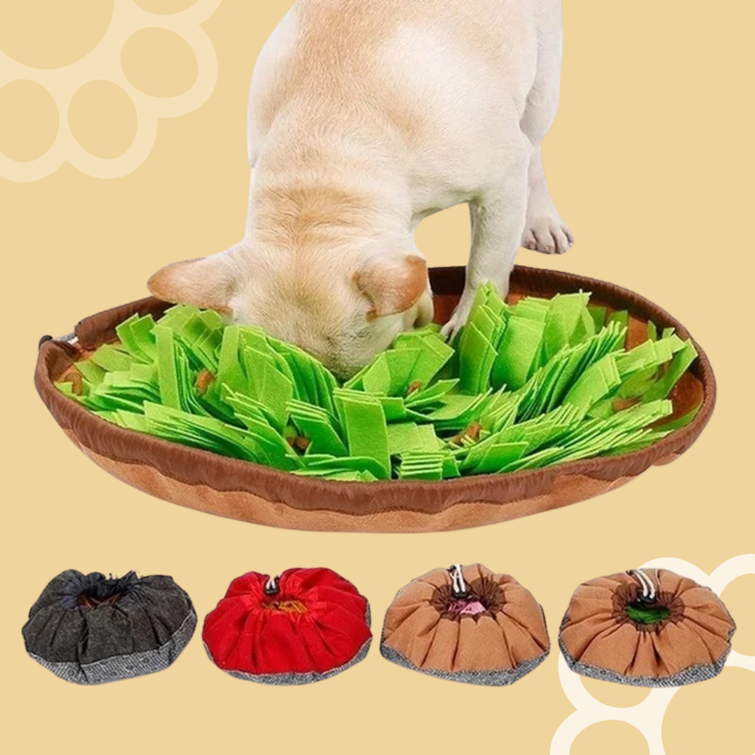 Dog Snuffle Mat