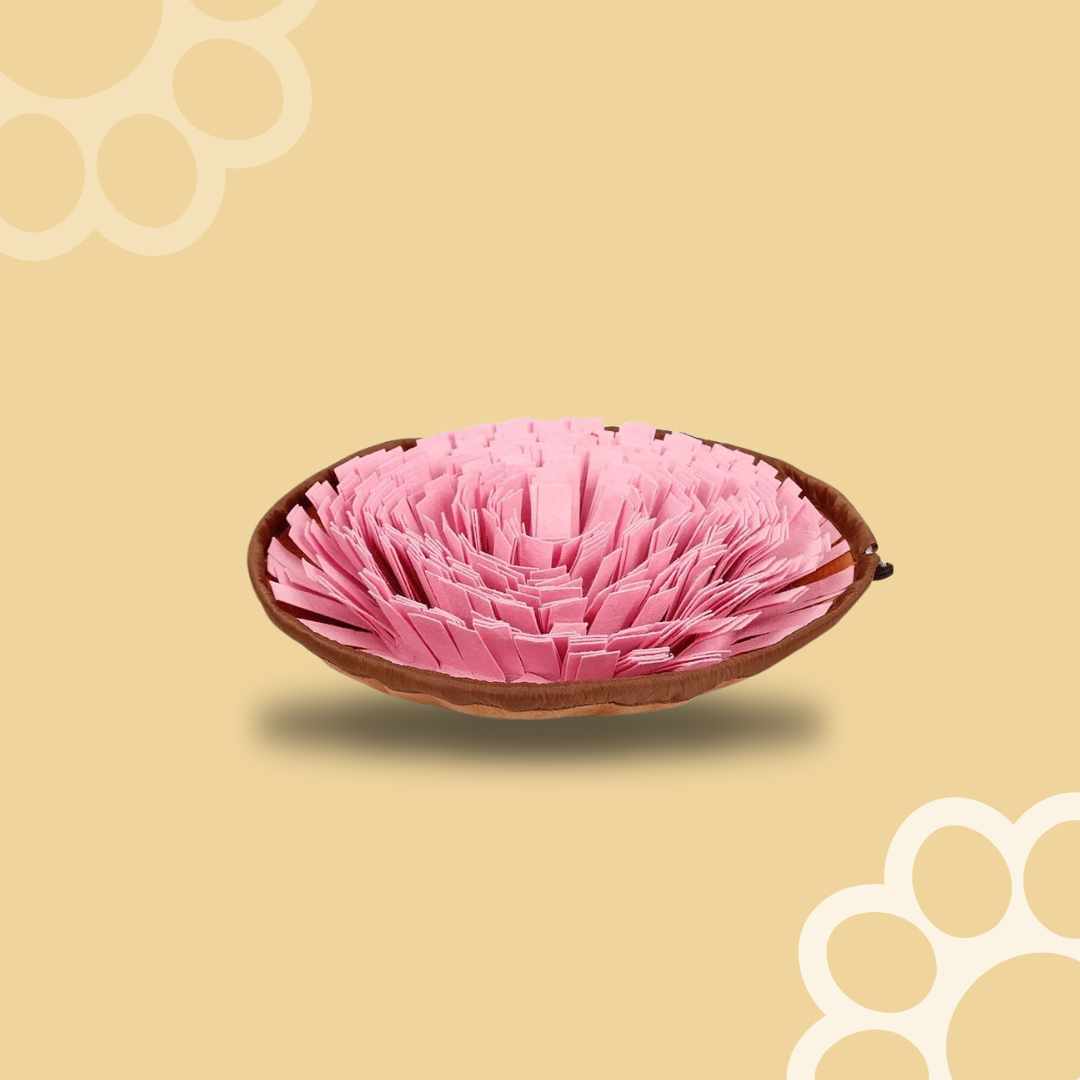 Dog Snuffle Mat