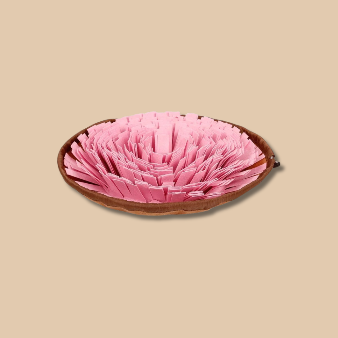 Dog Snuffle Mat
