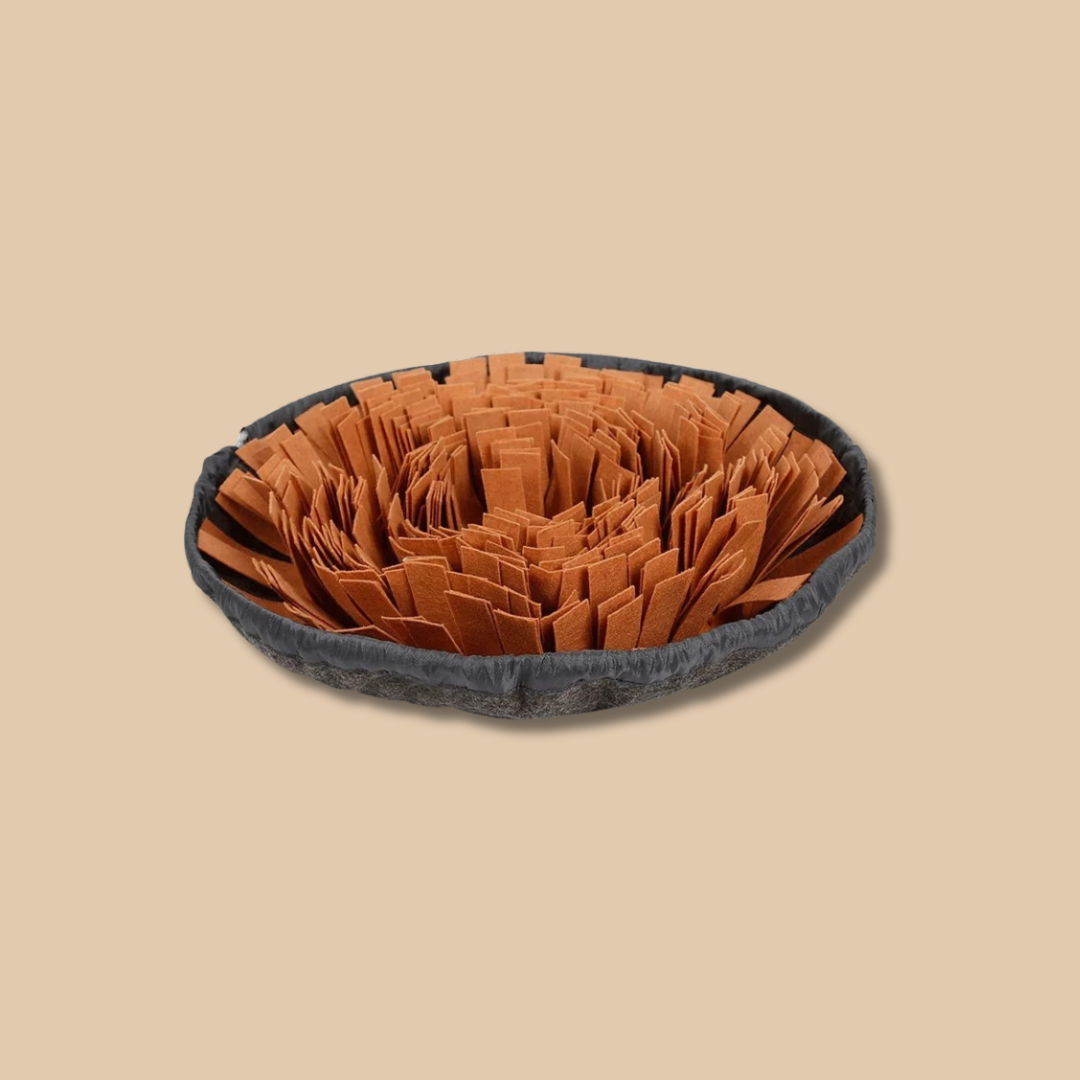 Dog Snuffle Mat