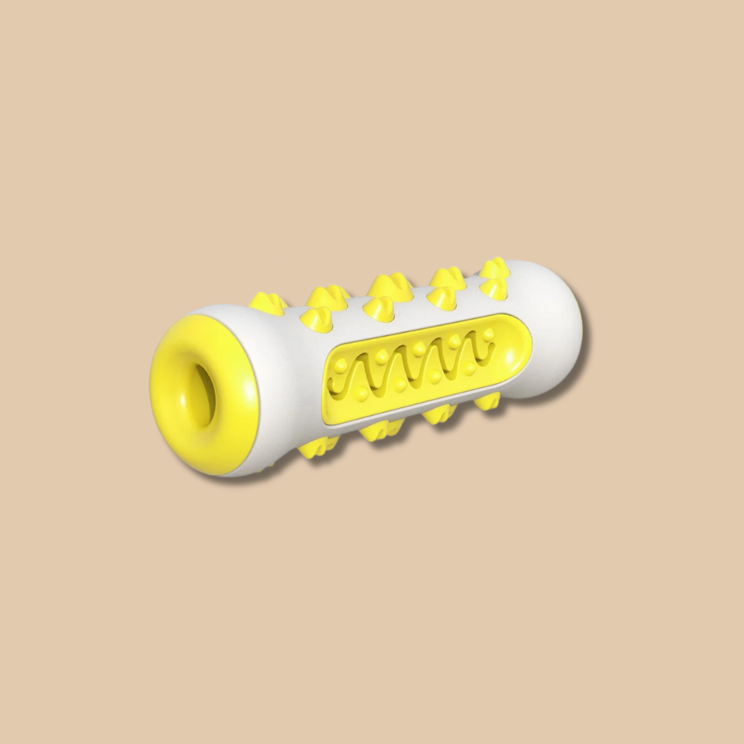 Dog Toothbrush Chew Toy