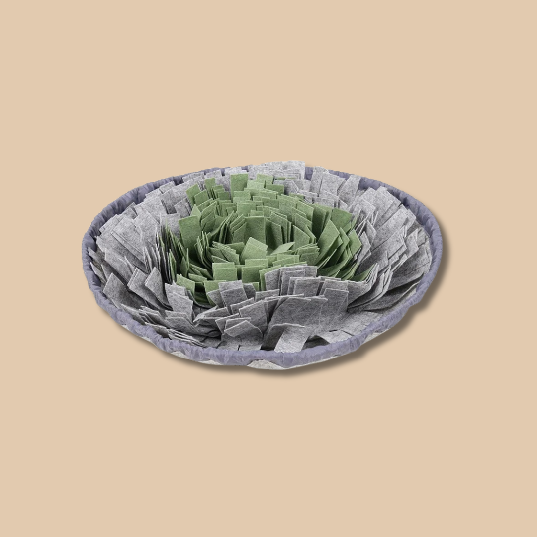 Dog Snuffle Mat