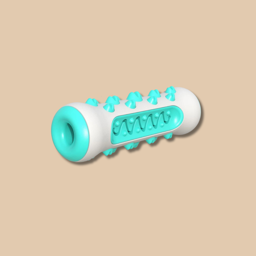 Dog Toothbrush Chew Toy