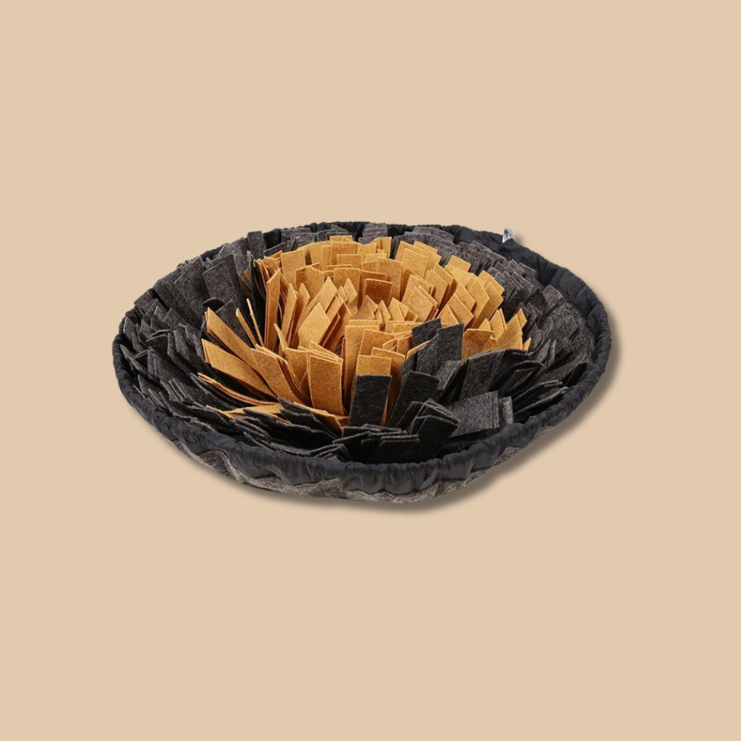 Dog Snuffle Mat