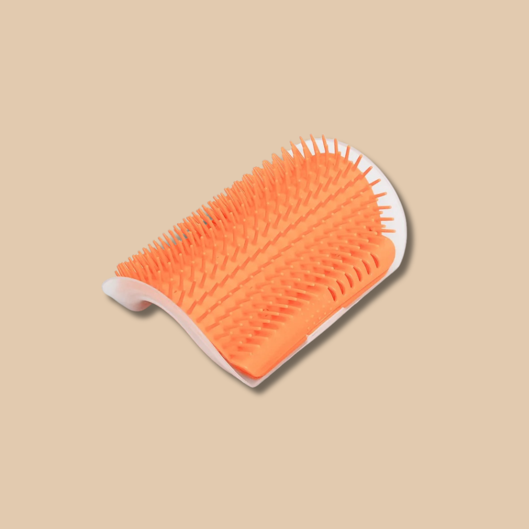 Cat Self-Grooming Wall Brush