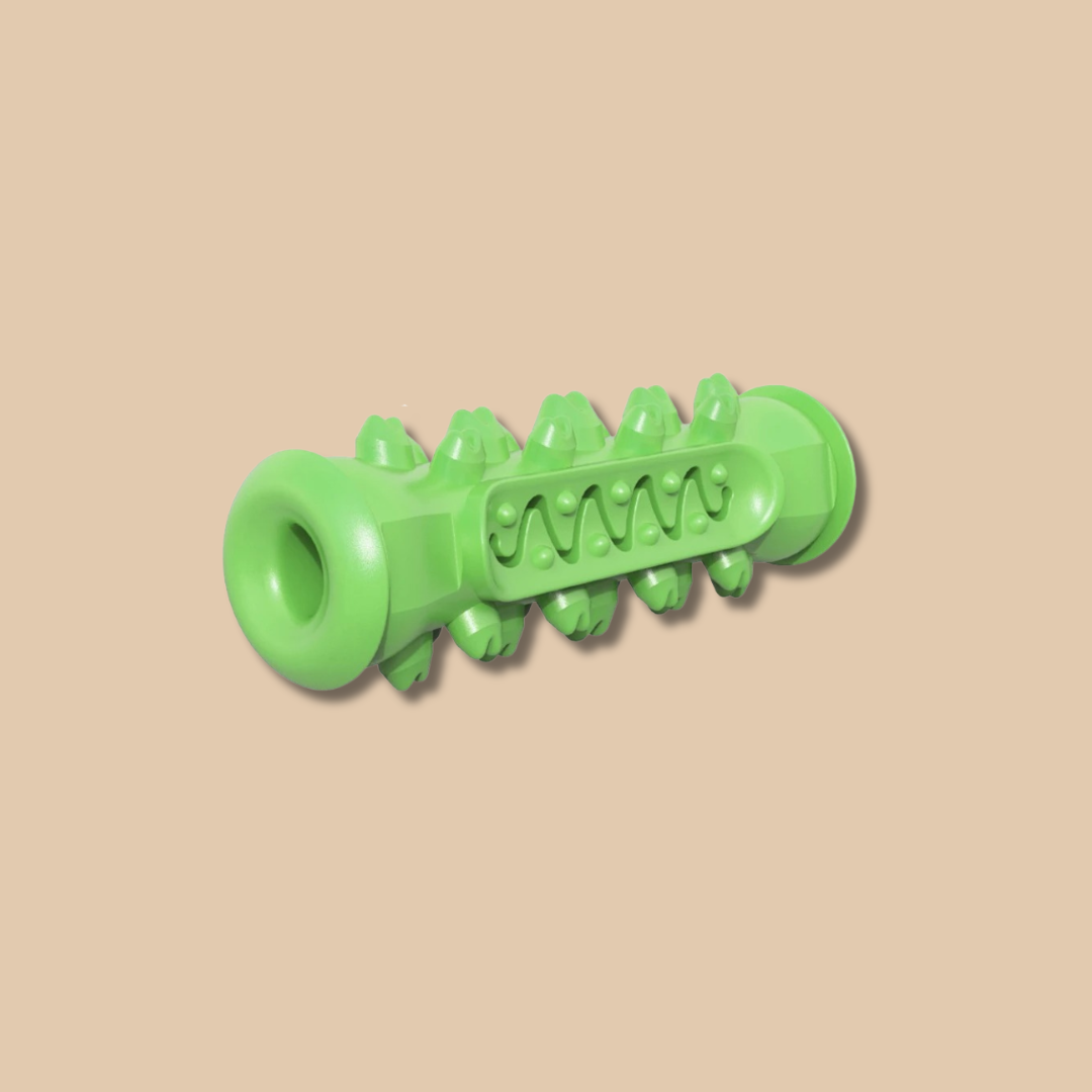 Dog Toothbrush Chew Toy