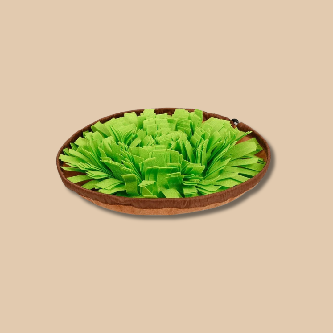 Dog Snuffle Mat