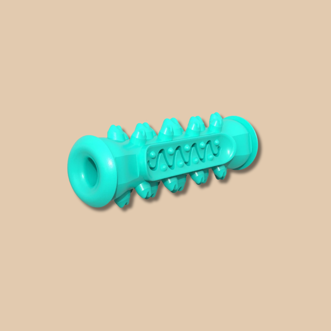 Dog Toothbrush Chew Toy