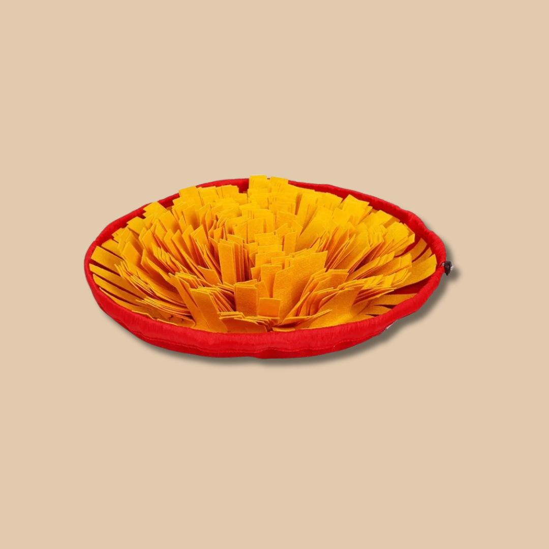 Dog Snuffle Mat