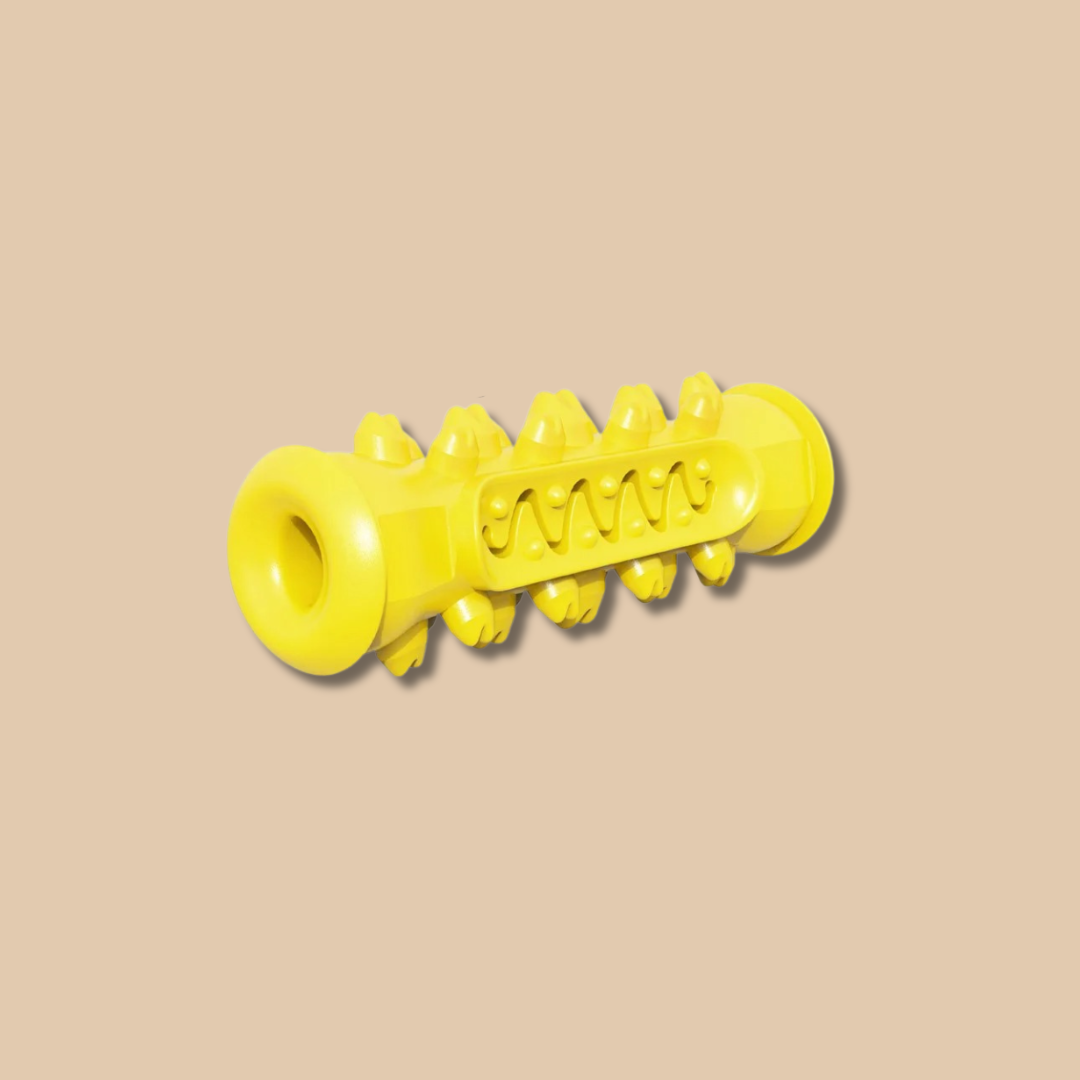 Dog Toothbrush Chew Toy