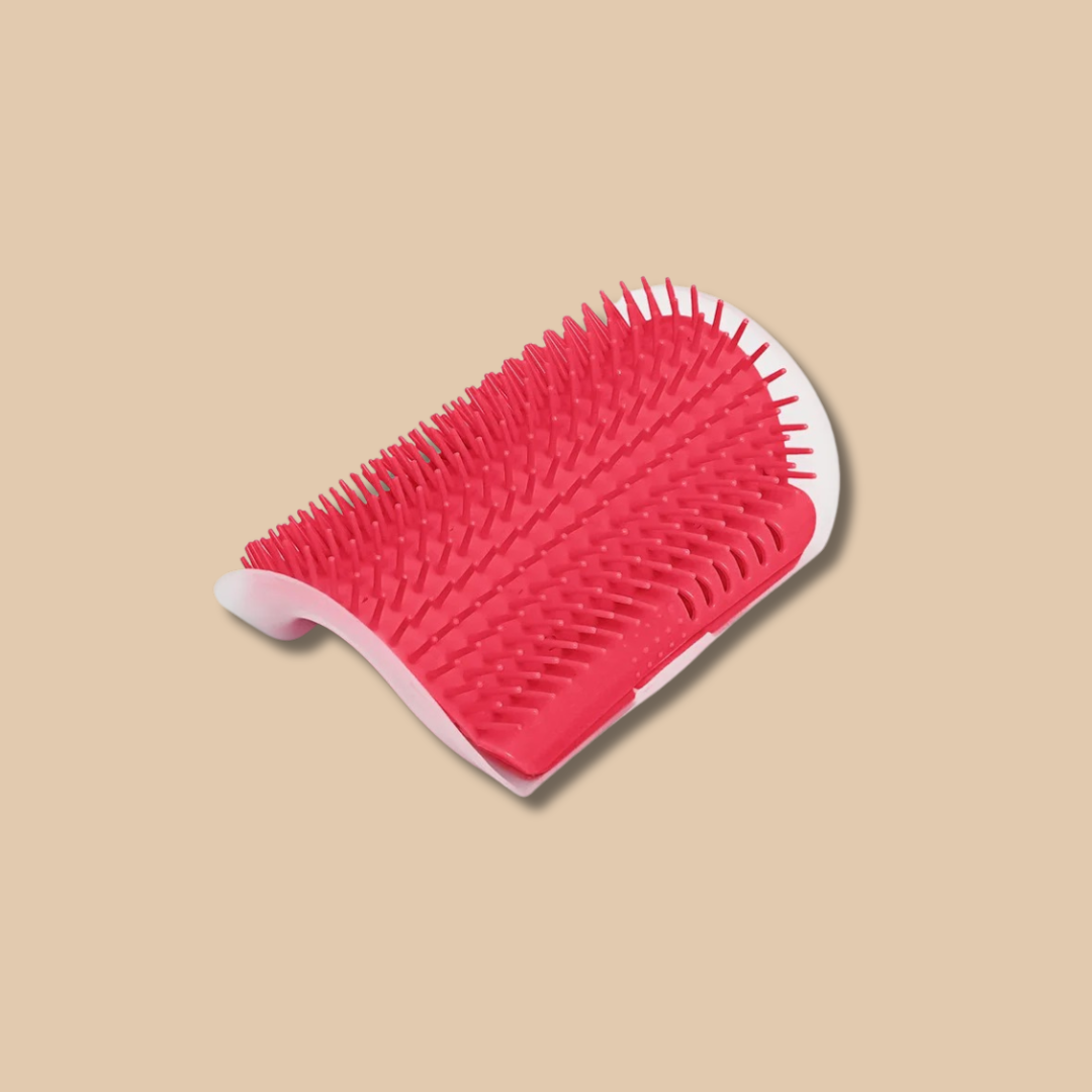 Cat Self-Grooming Wall Brush