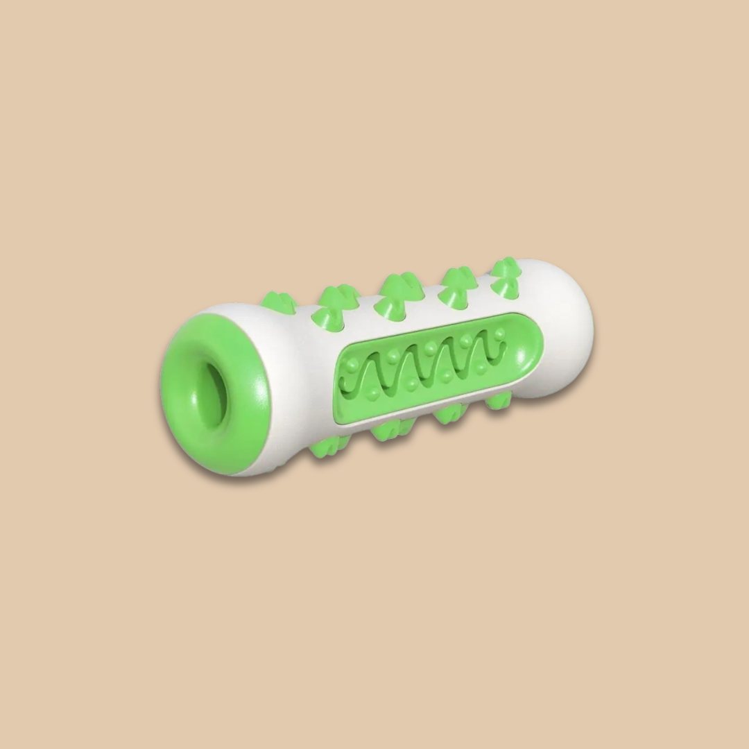 Dog Toothbrush Chew Toy