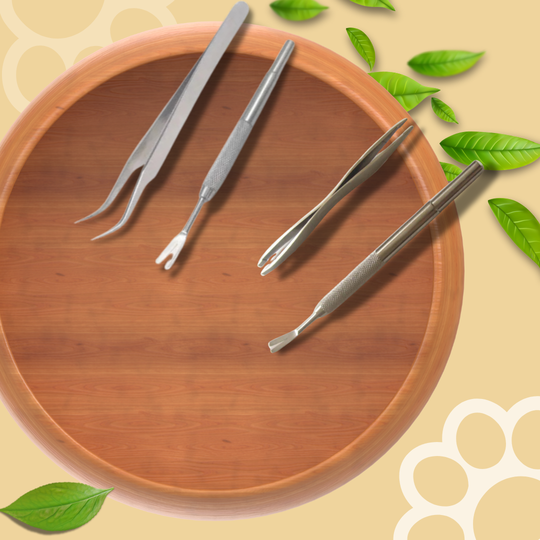 Stainless Steel Pet Tick Remover Set