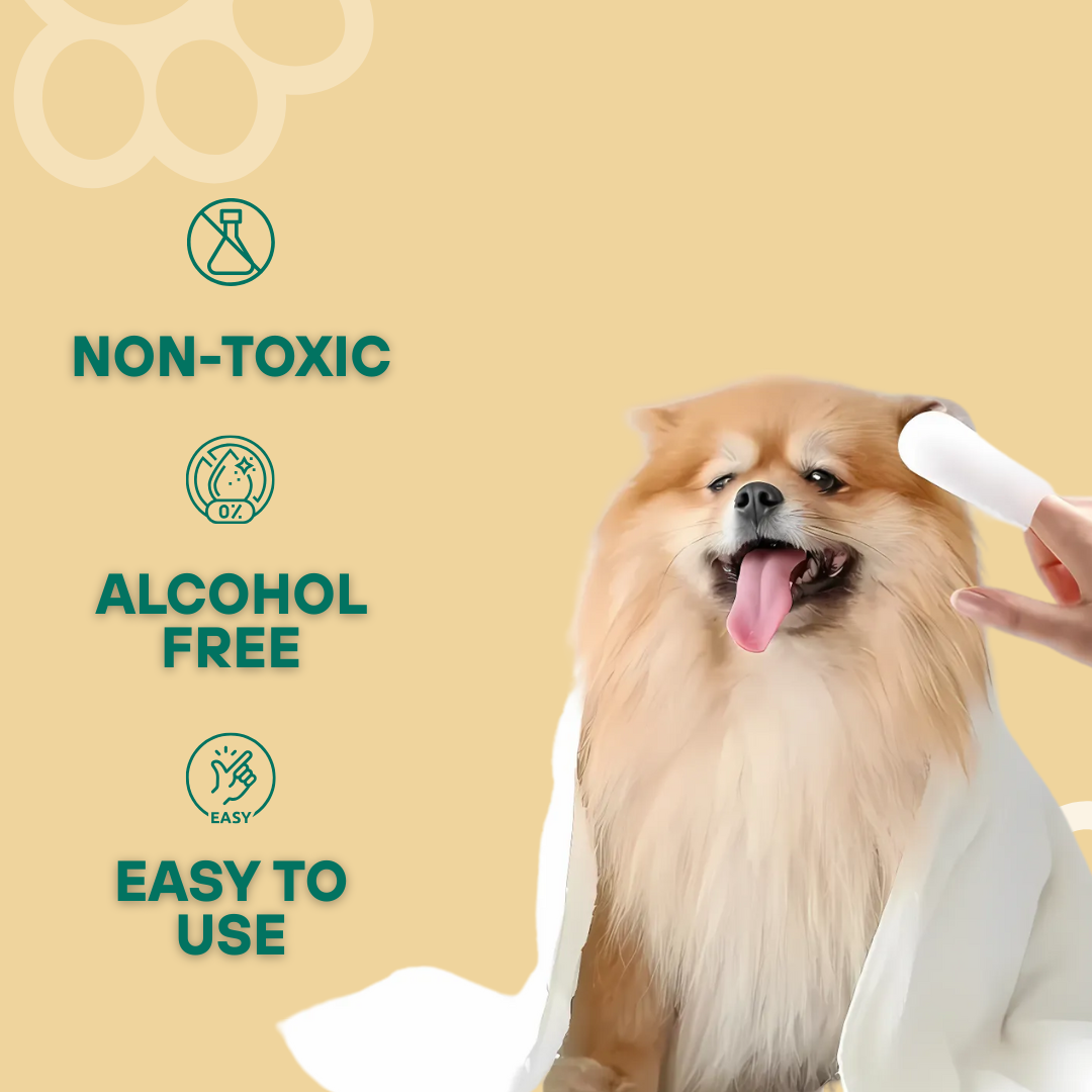 Pet Ear Cleaning Wipes