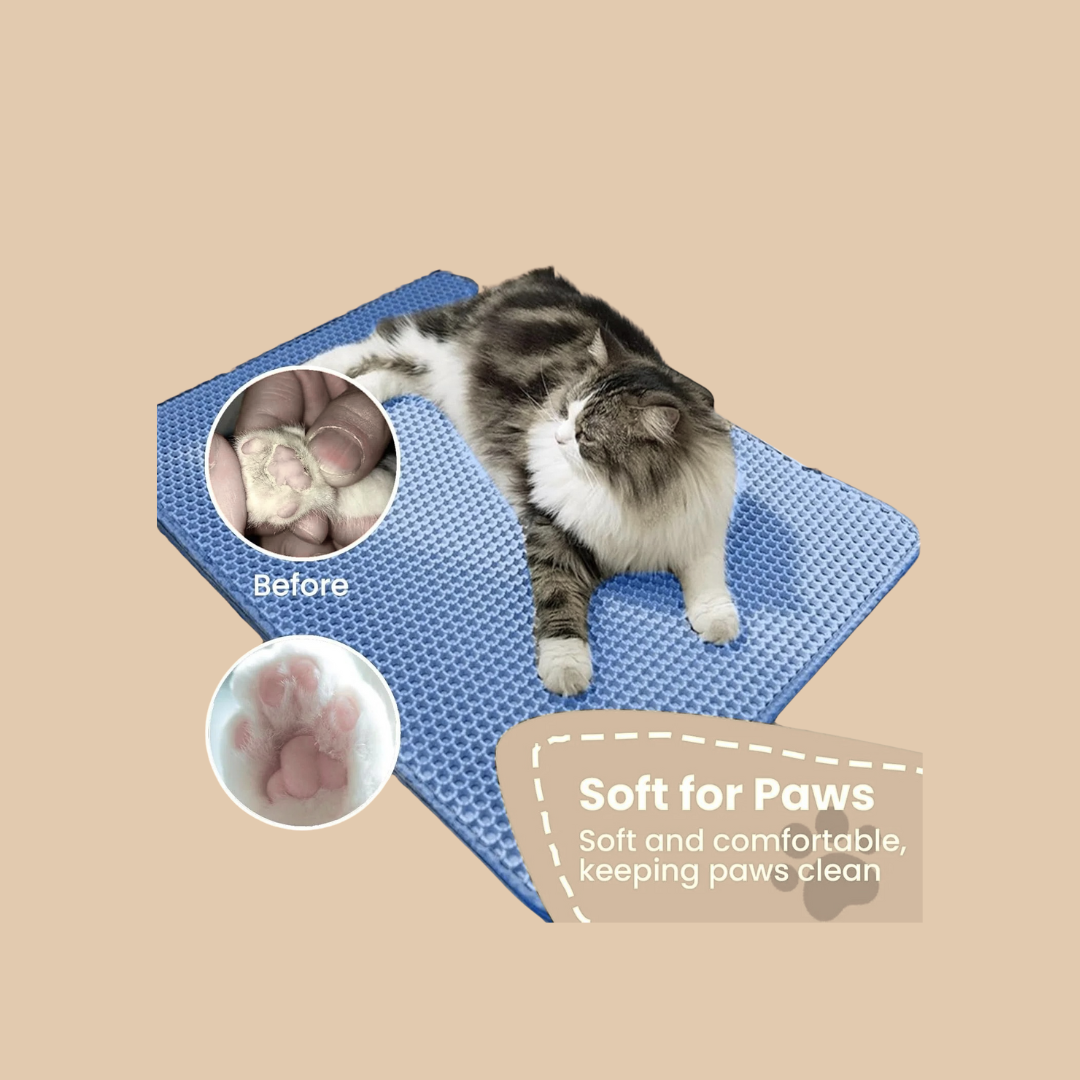 Double-Layer Cat Litter Catcher