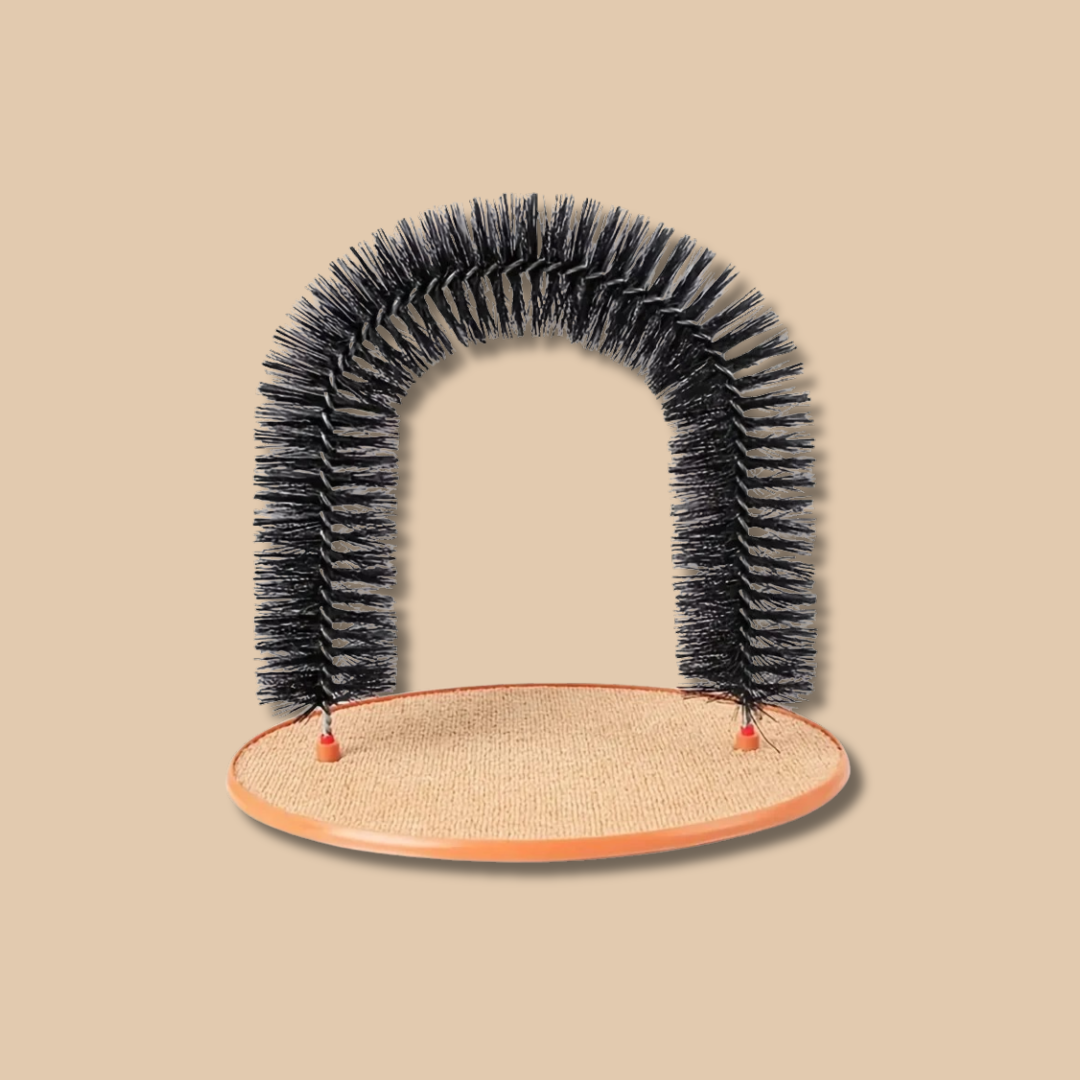 Cat Scratch & Brush Station