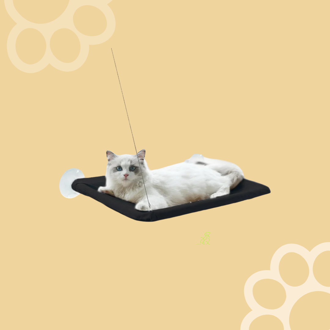 Cat Window Hammock