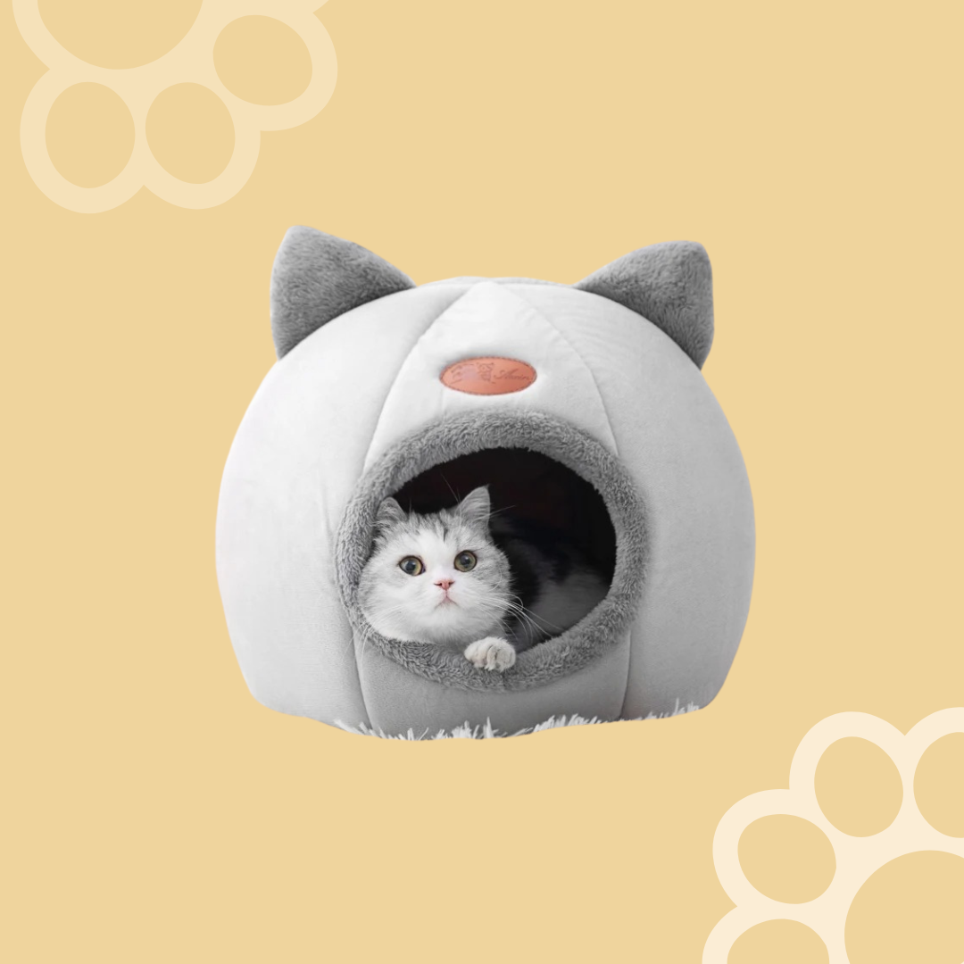 Comfy Pet House